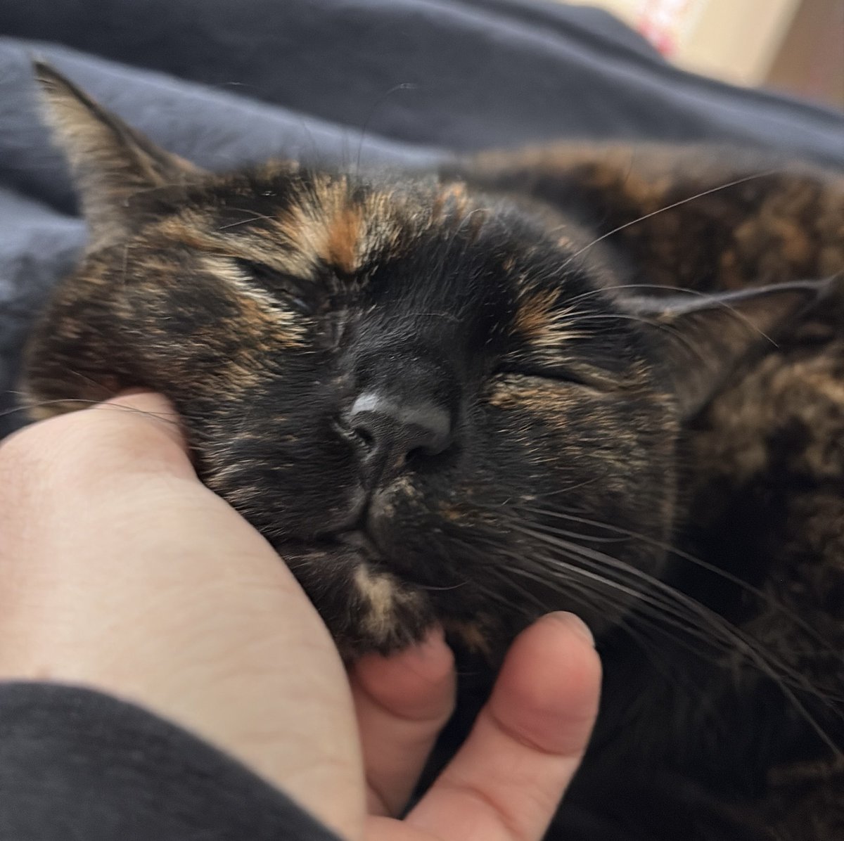 So-called “free thinkers” when you start scratching their chin