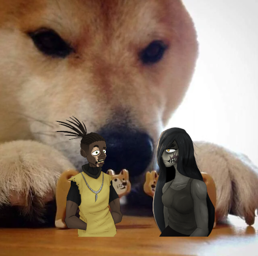 Tartaruga Gaúcha Produções tweet media