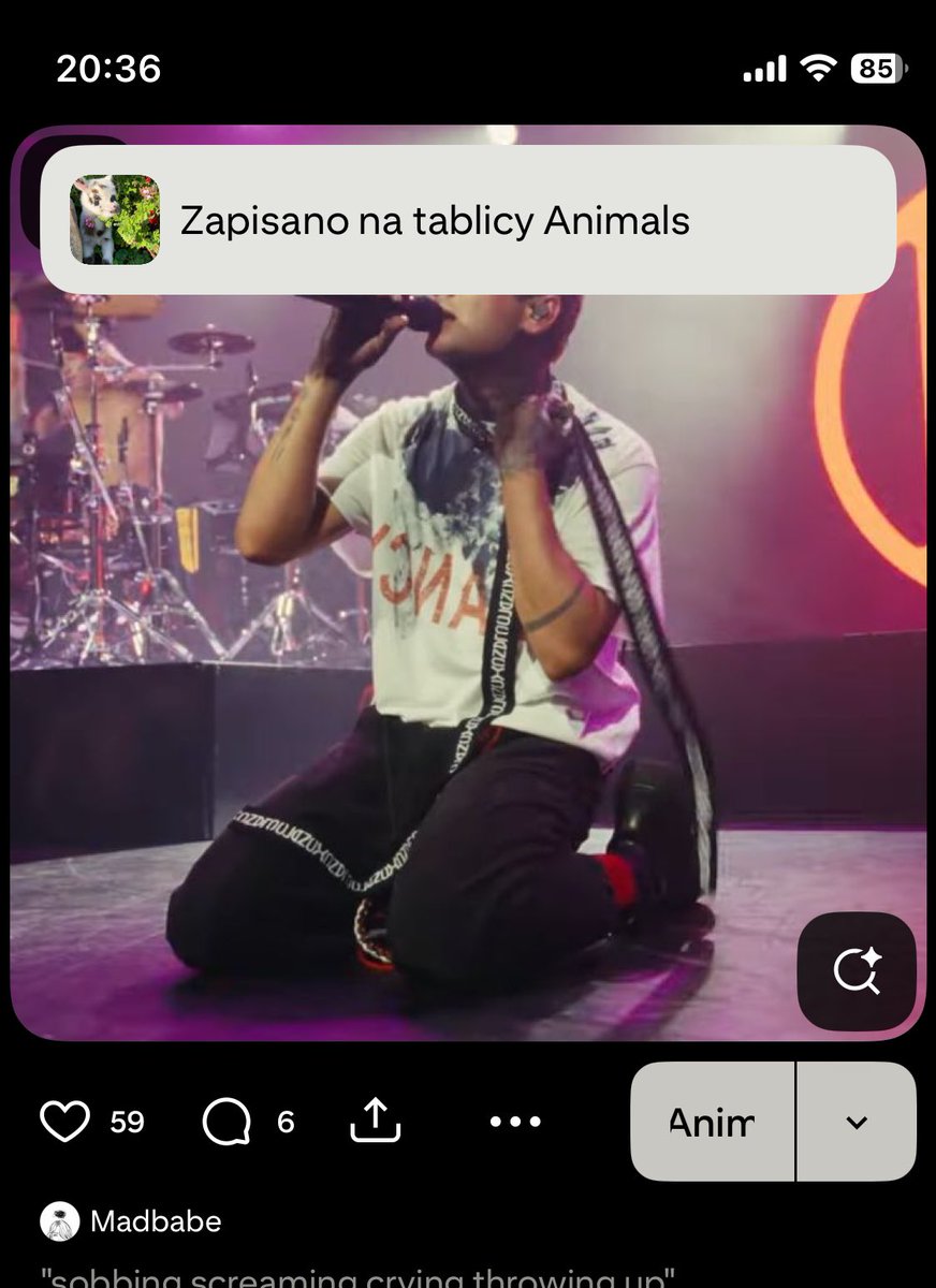 Klau ✨ tweet media