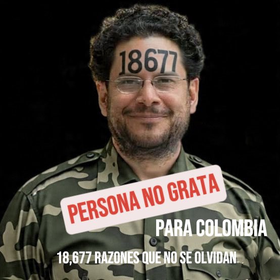 Camila Di Fillipo tweet media