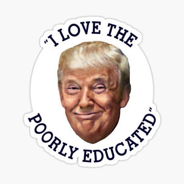 Seven Out tweet media