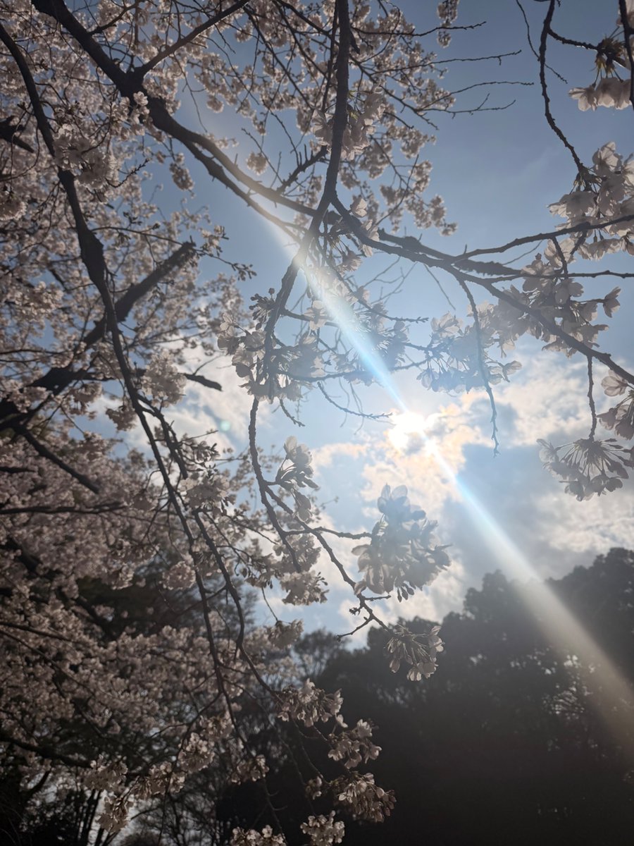 BAN HOTEL築地銀座【公式】出張に強いビジネスホテルゝ tweet media