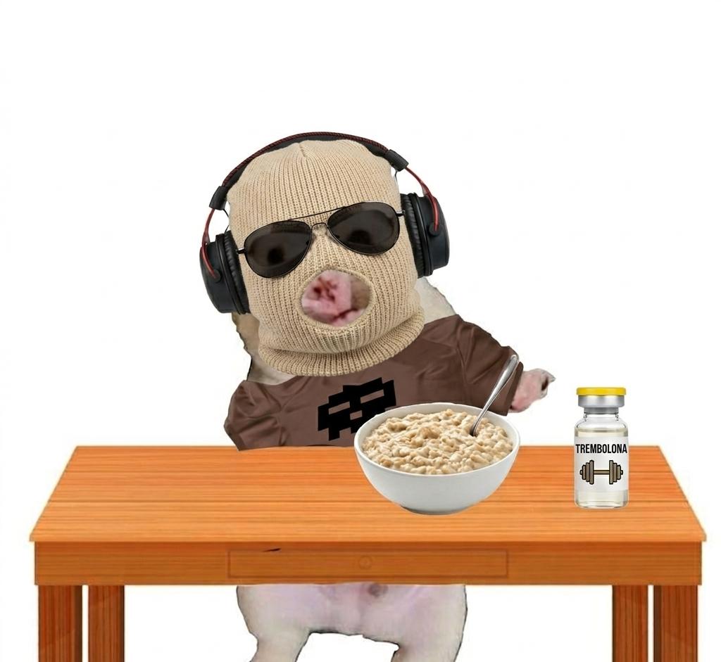 SILVERSTARK 2003 tweet media