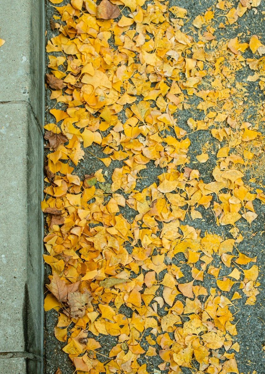 James Stuhr tweet media