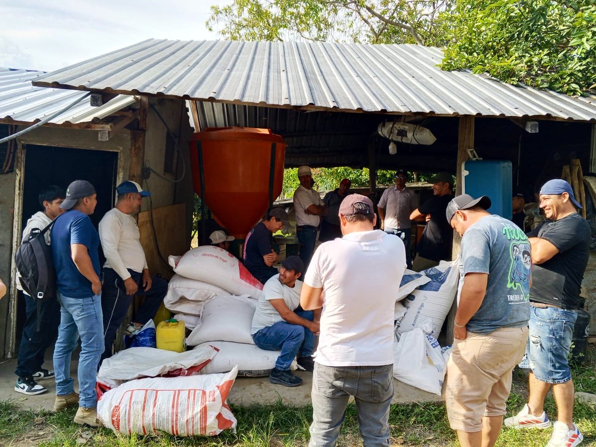 Agricultura_CZ7's tweet photo. #Loja | A través del proyecto #PROFOSPE con las Escuelas de Formación Pecuaria se realiza las capacitaciones en Ganadería Regenerativa, Nutrición Animal y se realiza un taller teórico-práctico en la elaboración de una tonelada de balanceados, en los cantones de #Puyango y #Loja. https://t.co/cwxBf9HlUJ