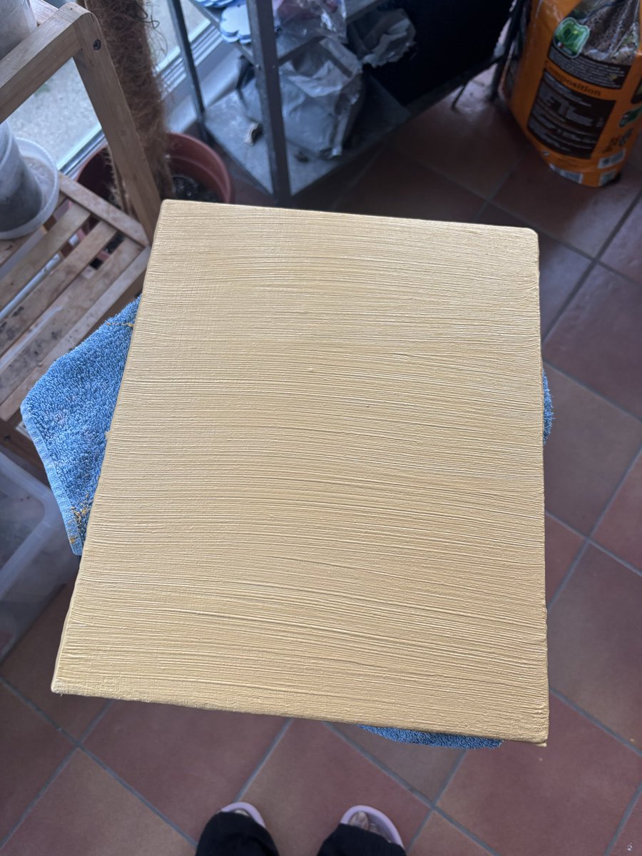 Arrangemento #PlantsLover tweet media