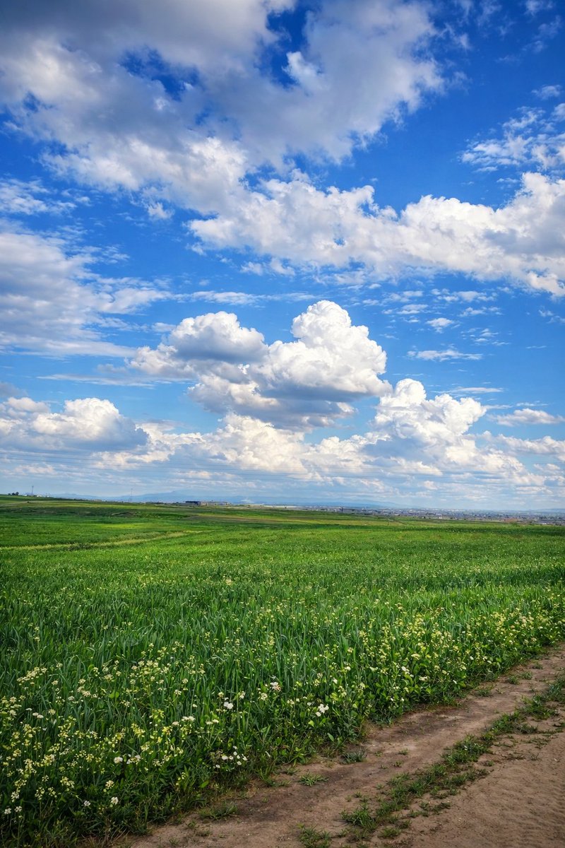 | أ- الأسلمي | tweet media