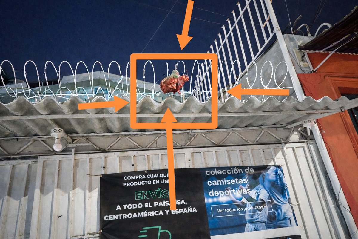 Don Roque 503- Perfil Personal tweet media