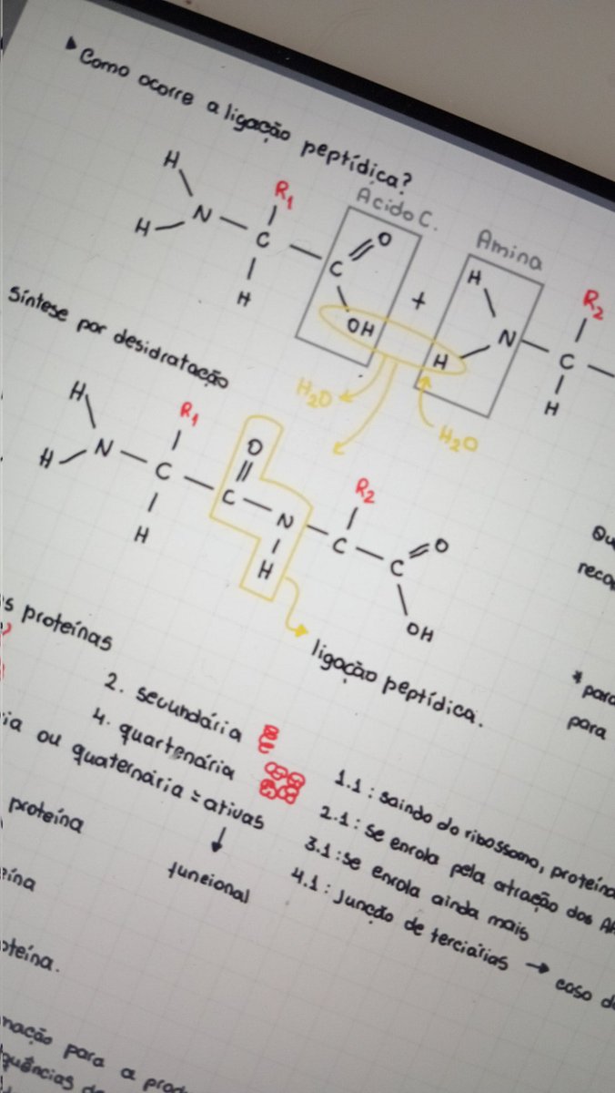 ⋆Saturno🧫🔬 tweet media