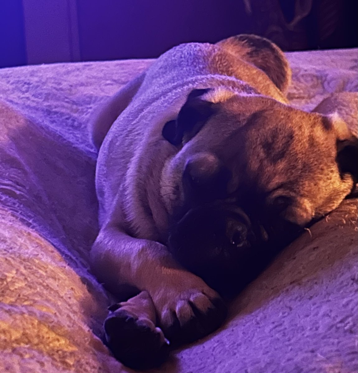 ᕼᗴᗩTᕼᗴᖇ ᖇᗩᗴ tweet media