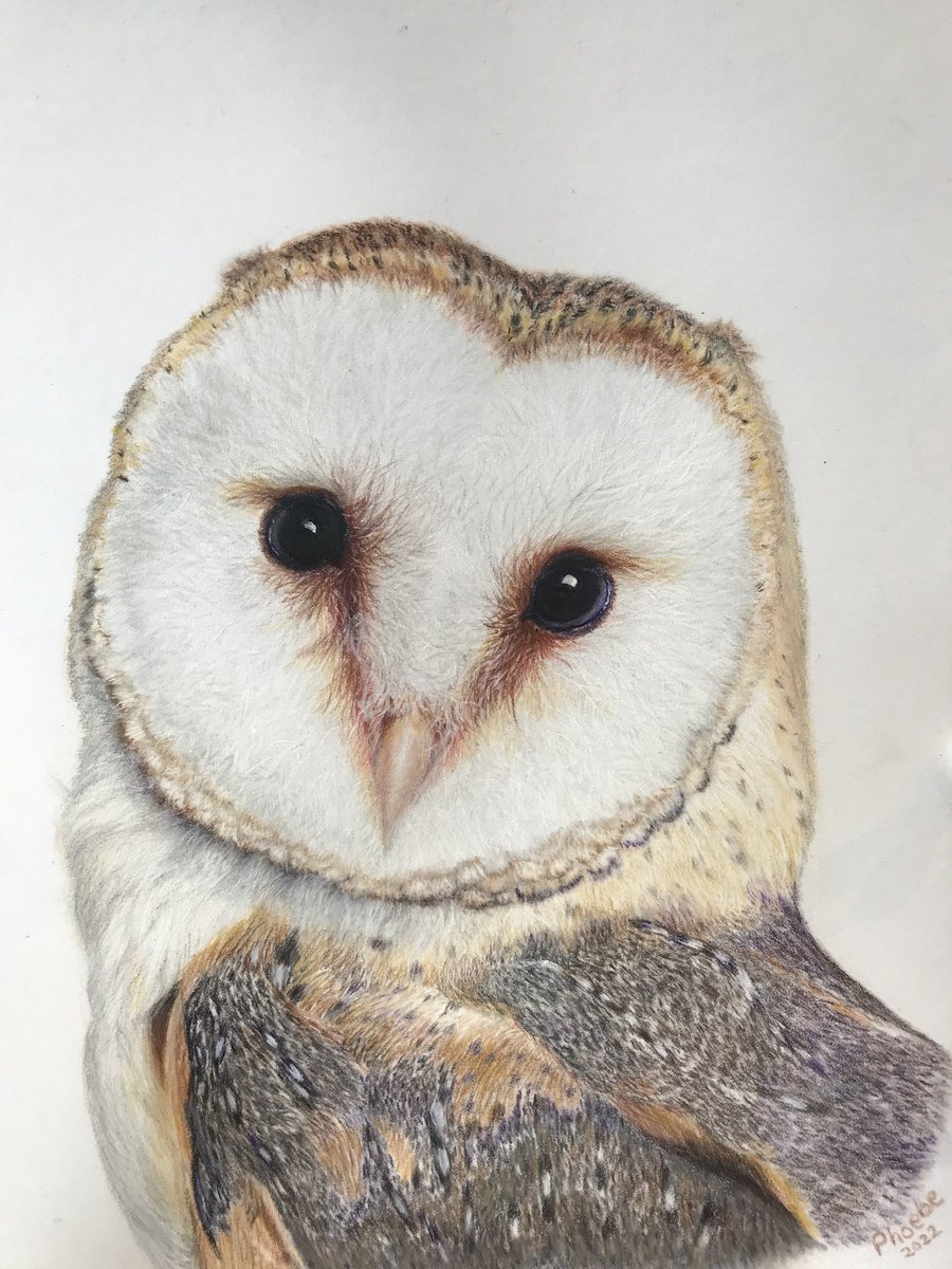 PhoebegeebeeArt☦️👩🏻‍🎨🎨 tweet media