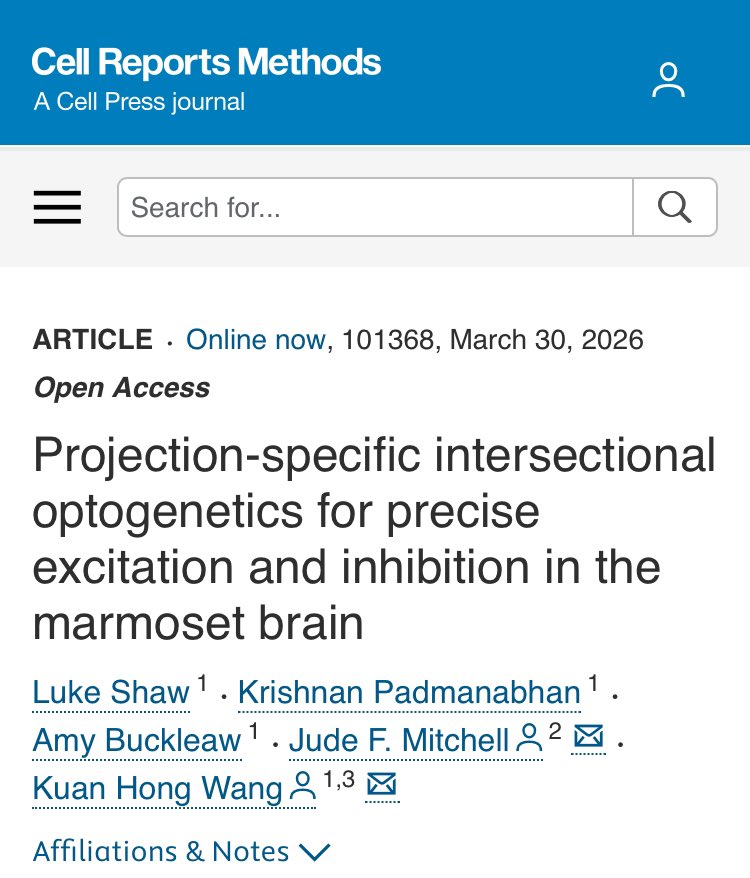 MitohormesisAct's tweet photo. 🚨 Mind-blowing breakthrough in brain control: Scientists just figured out how to flick specific "highway lanes" in the primate brain ON or OFF — using nothing but pulses of LIGHT. No broad disruption. No traffic jams across the entire network. Just precise, directional conversations between distant brain regions. 

This is straight out of a sci-fi lab at the University of Rochester. In a new paper in Cell Reports Methods (March 30, 2026), researchers developed an optimized intersectional optogenetic toolkit for marmosets. 

They inject a retrograde virus carrying Cre-recombinase into a target brain area (say, parietal cortex). Then a Cre-dependent virus at the source (e.g., frontal/premotor areas) delivers opsins: ChR2 (activated by ~470 nm blue light) for excitation, or Jaws (red-shifted, ~561-590 nm) for inhibition. 

Result? Projection-specific control. They can excite or suppress long-distance pathways — callosal (across hemispheres) or frontoparietal (~13 mm span) — with surface light delivery while recording neural activity. Dual-opsin experiments let them push-pull the same neurons: excite, then instantly inhibit. Firing rates modulated reliably, with clear axonal terminal labeling and minimal off-target leak thanks to AAV8 optimizations. 

The brain isn't just a bag of parts — it's a massive network of highways. Until now, "closing one lane" caused chaos everywhere else. This changes the game. We can finally isolate exactly how the front of the brain talks to the back during complex decisions, perception, or social behavior. 

Senior author Kuan Hong Wang: This gives us a new way to precisely target how brain regions communicate — offering a clearer view of circuits behind disorders. Imagine one day fixing disrupted pathways in psychiatric or neurological conditions with pinpoint light-based interventions. 

From rodent pipelines to awake marmosets — this is a scalable framework for causal primate neuroscience.

Now, the photobiology angle — because light isn't just for labs. 

Optogenetics uses intense, targeted wavelengths (blue ~470 nm for ChR2 excitation; red for inhibition) delivered directly to engineered neurons. It's hyper-specific, millisecond-precise, and invasive (viral delivery + light fiber/LED on cortex). Not something you do at home.

But natural light, especially morning sunrise exposure, is a powerful, non-invasive circadian regulator that influences the entire brain via your eyes — no genetic engineering required.

Here's what sunrise/morning bright light can do for psychiatric conditions:

- Circadian reset: Your suprachiasmatic nucleus (SCN, the master clock) uses light (especially short-wavelength blue-enriched from sunrise) detected by melanopsin in retinal ganglion cells. Morning exposure advances your internal clock, aligning sleep-wake cycles, melatonin offset, and cortisol rise. Evening light ALAN does the opposite (delays).

- Seasonal Affective Disorder (SAD): Classic treatment. Reduced winter light disrupts rhythms, lowers serotonin, prolongs melatonin. Morning bright light therapy (or real sunlight) — 10,000 lux for 30-60 min shortly after waking — is as effective as antidepressants for many. It phase-advances rhythms, boosts mood, energy, and reduces symptoms within days. Studies show it corrects delayed circadian phase common in winter depression.

- Non-seasonal depression & beyond: Morning daylight exposure improves depressive symptoms, sleep quality, and motor activity even when added to meds. It enhances serotonin signaling, modulates reward circuits (potentially helping anhedonia), and stabilizes rhythms disrupted in major depression or bipolar. Large studies link more daytime outdoor light to lower depression risk, less antidepressant use, and better happiness scores.
1 of 2 🔆💫