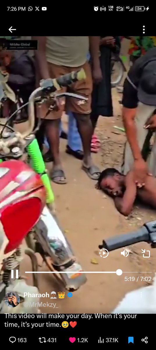 KYLE_REVIEWS tweet media