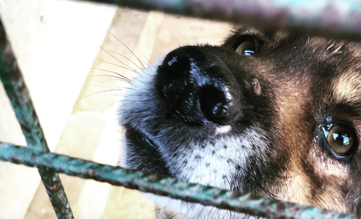 Catherine Blaiklock tweet media