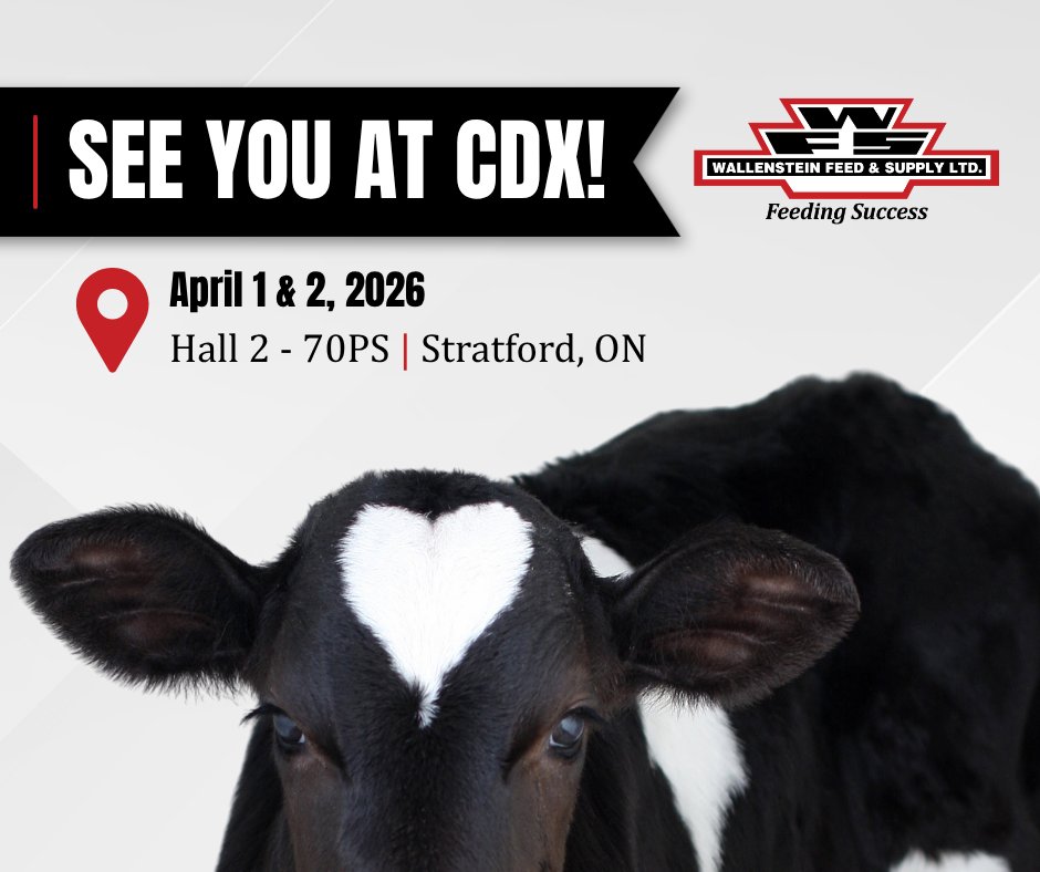 WallensteinFeed's tweet photo. See You at CDX this week in Stratford! 🐮
We'll be at booth 70PS in Hall 2 on April 1 &amp; 2, 2026 at the Canadian Dairy XPO. Stop by to meet our Dairy Team, snag some moo-shades &amp; a sweet treat! 😎 https://t.co/l2APROXmby