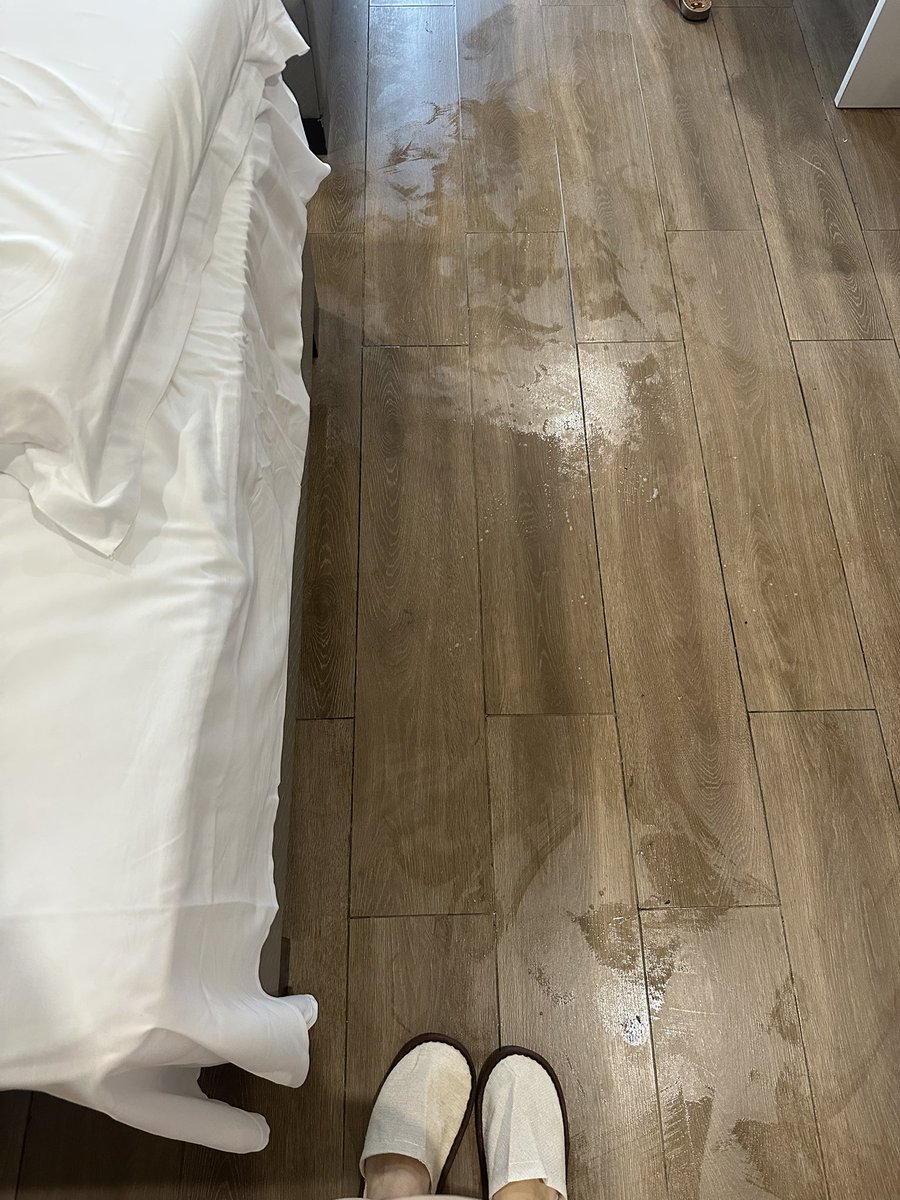 悲伤猪肘子 tweet media