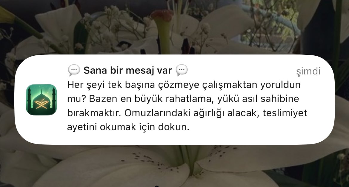 merveꫂ ၴႅၴ tweet media