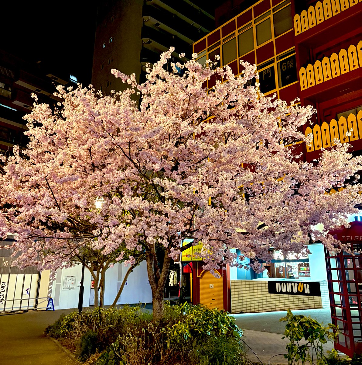 トモハッピー | 年商1兆円を目指す商売人!! tweet media