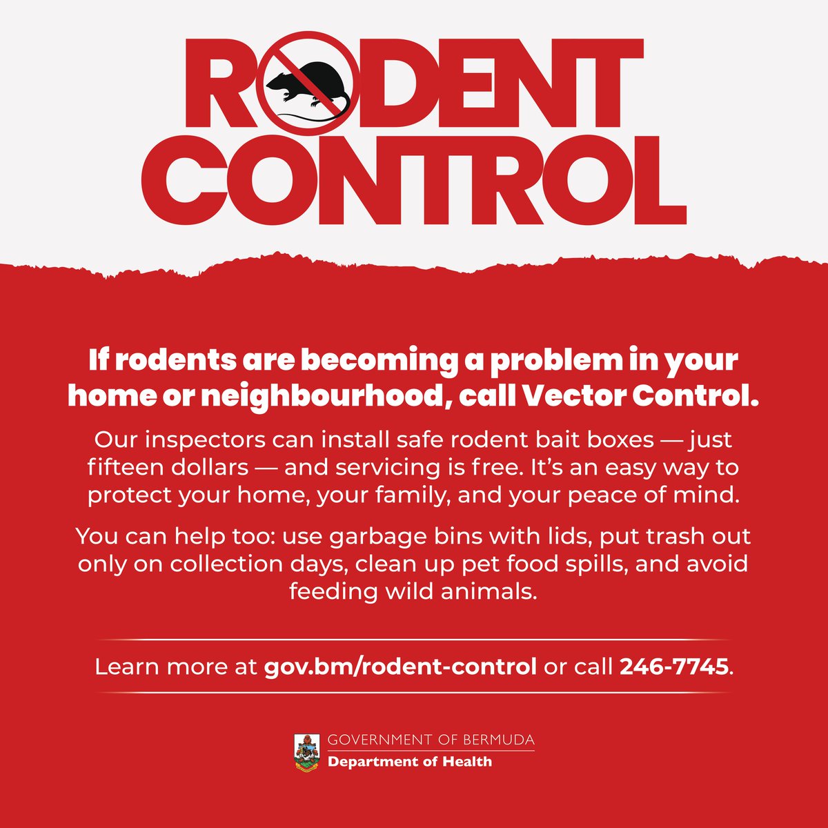 Bermuda Government tweet media