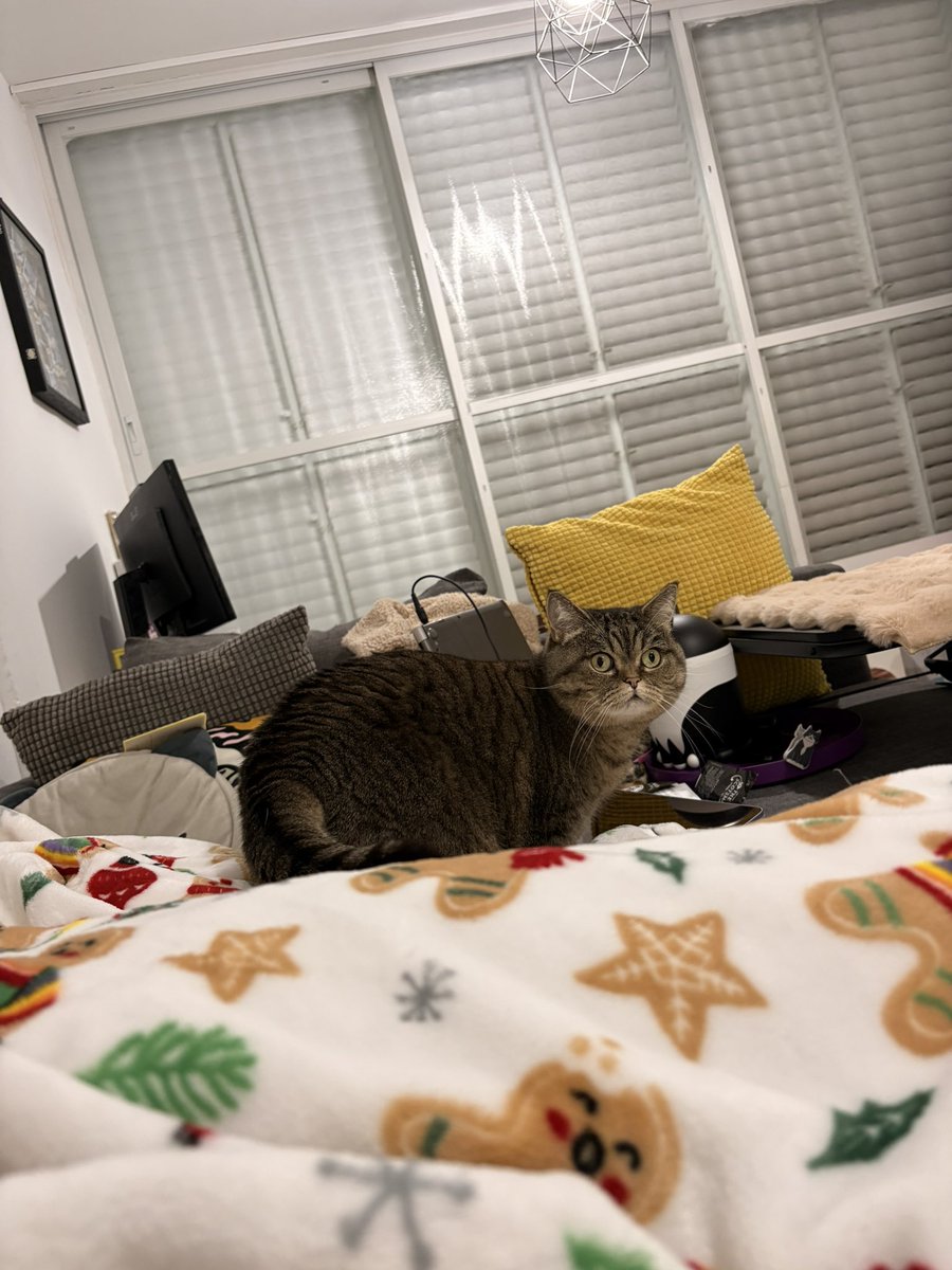 nickname - no nickname 🇮🇱 tweet media