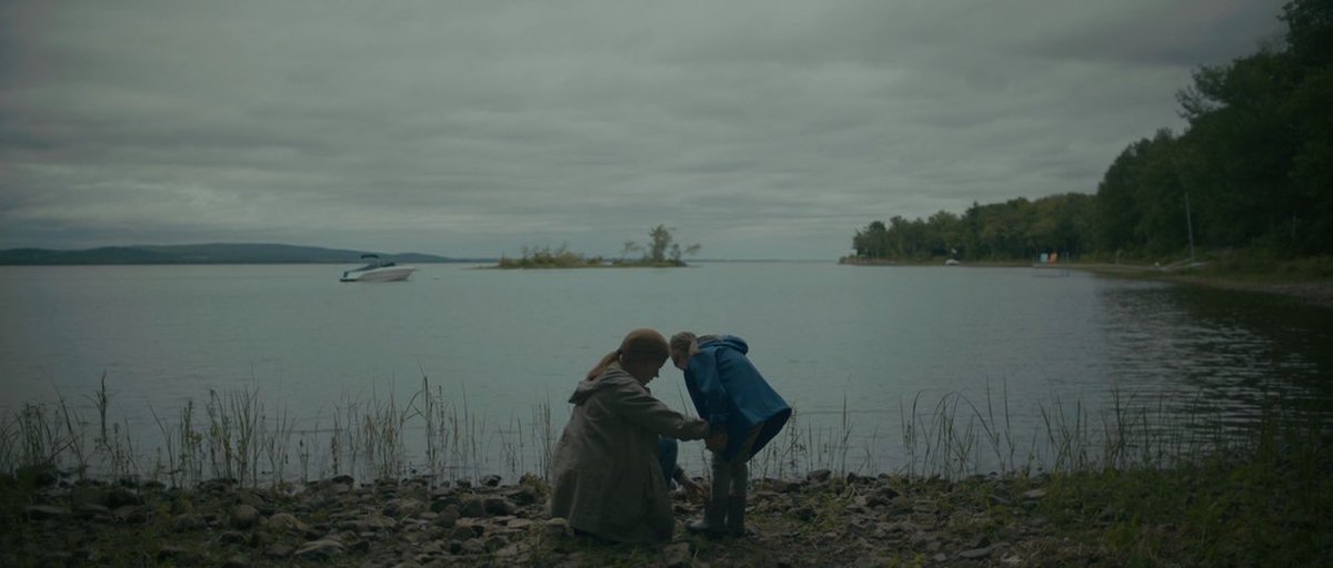 Chrysalis tweet media