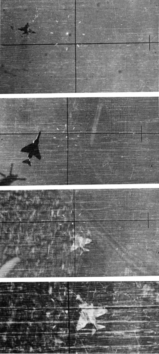 FennViktor tweet media