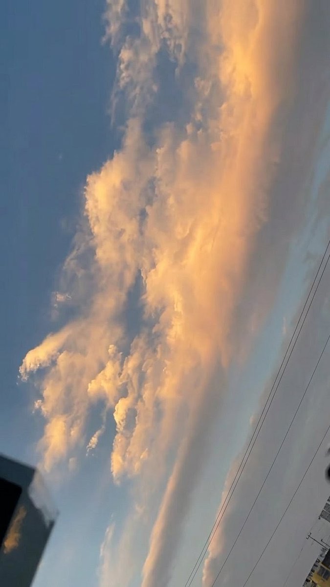 ƒ~🧛🏻♀️ tweet media