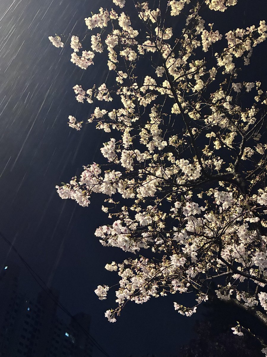 ddoootttt's tweet photo. 제 2시간 반을 25초로 만나보세요
#studytwt #dotstudy https://t.co/AT6XIREfJG