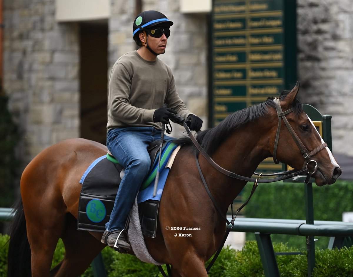 Frances J Karon tweet media