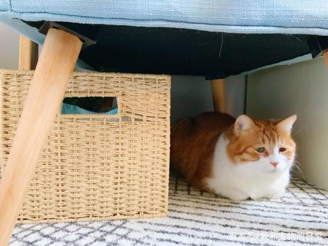 kittysadie tweet media