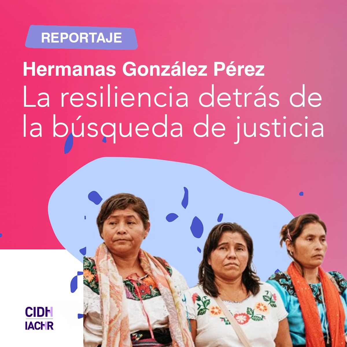 CIDH - IACHR tweet media