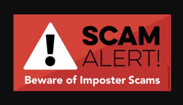 Timothy Sykes tweet media