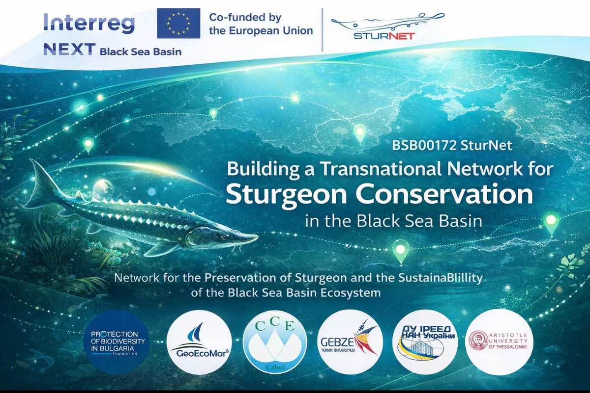 OBBFdn's tweet photo. 🌍 An international workshop will take place on April 7, 2026 in Constanța, organized by GeoEcoMar within the SturNet project.

Focus: innovation, collaboration &amp; sturgeon conservation.

🔗 https://t.co/mx6GF7tsq2
📝 Register: https://t.co/iJghXPyDFa

#SturNet #Sturgeon #EU https://t.co/fSlHtFB4Es