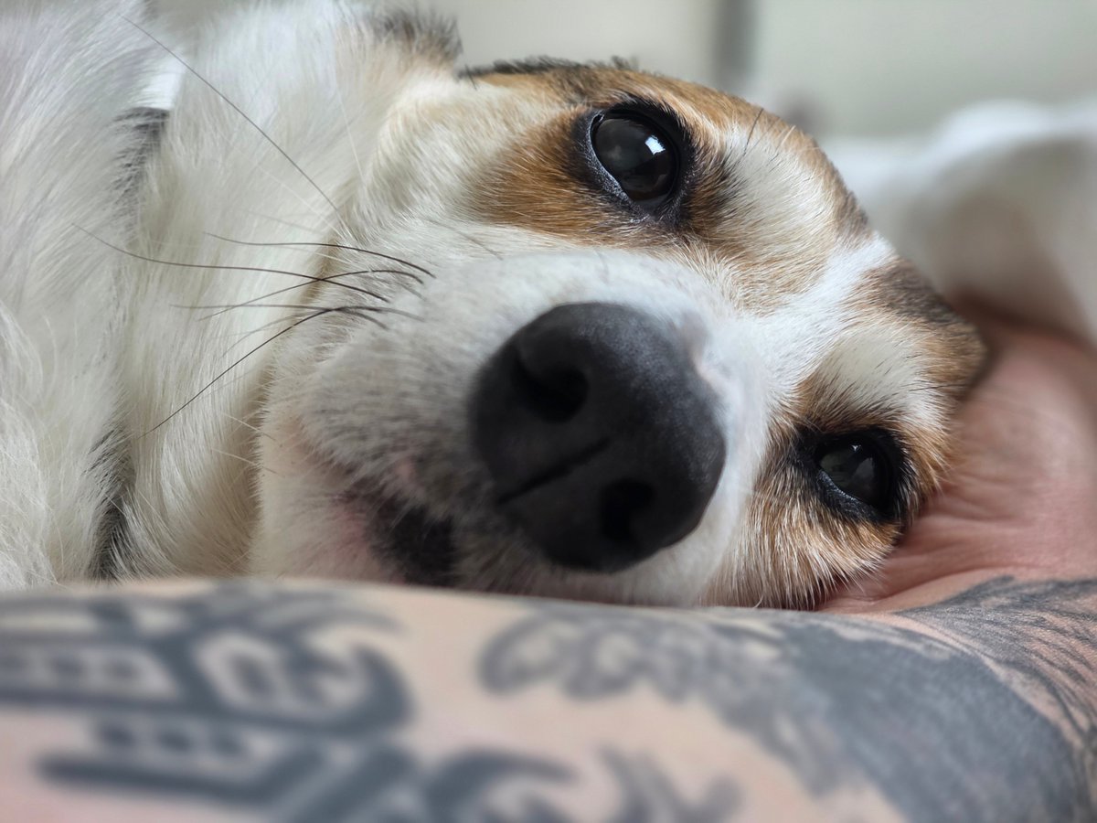 감자아빠 은호당恩熩堂 tweet media