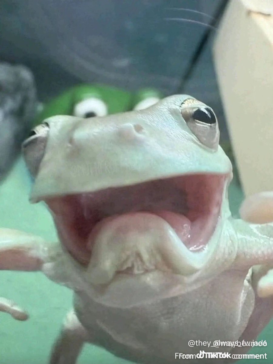 FFC | SirFresh tweet media