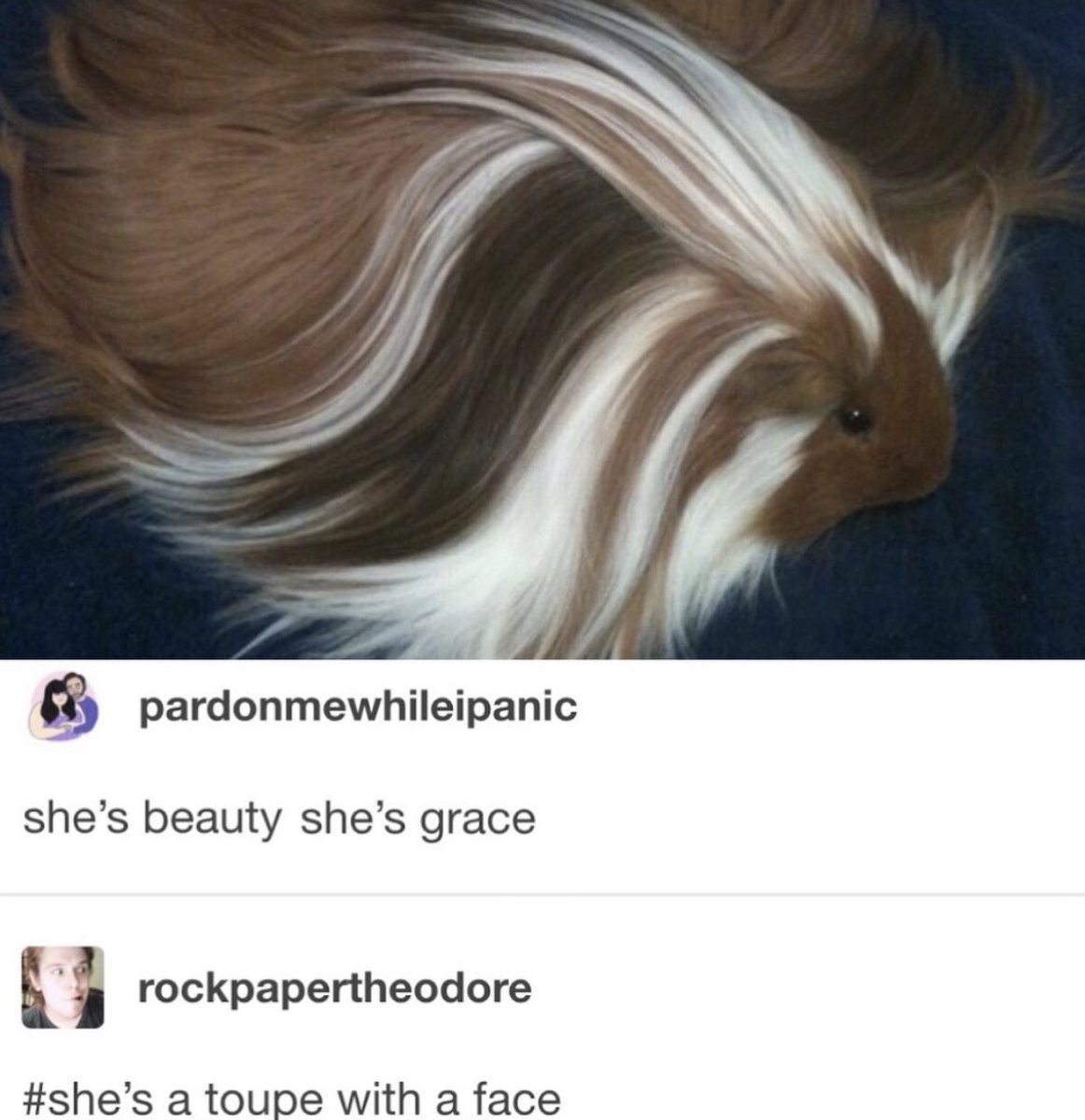 Respectful Memes tweet media