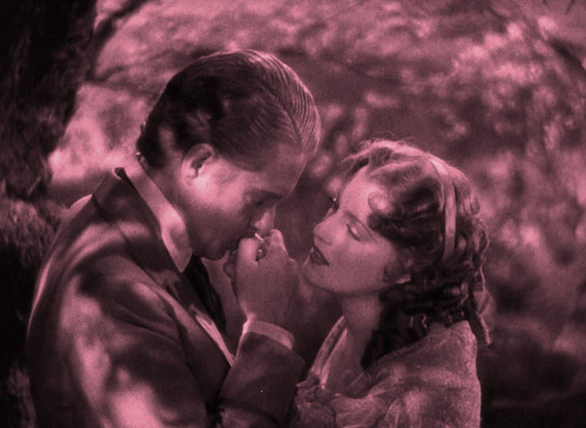 liza 🤨 tweet media