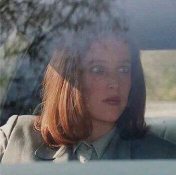 Marine 🛸 tweet media