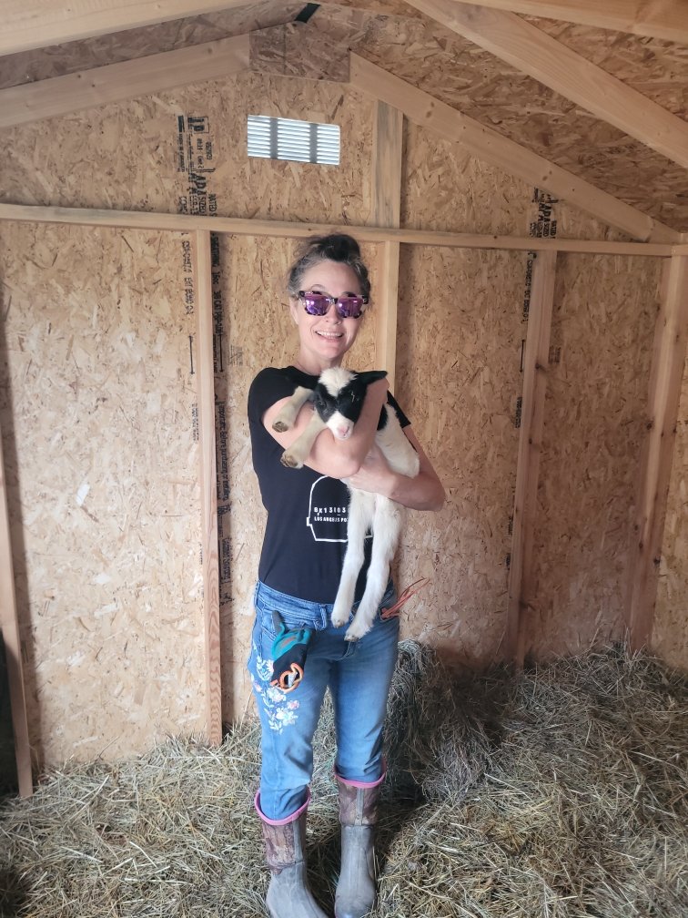 AmyInDystopia tweet media