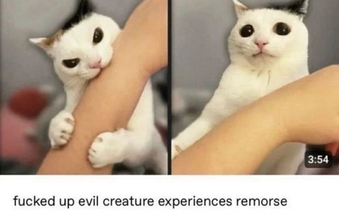 Punch Cat tweet media