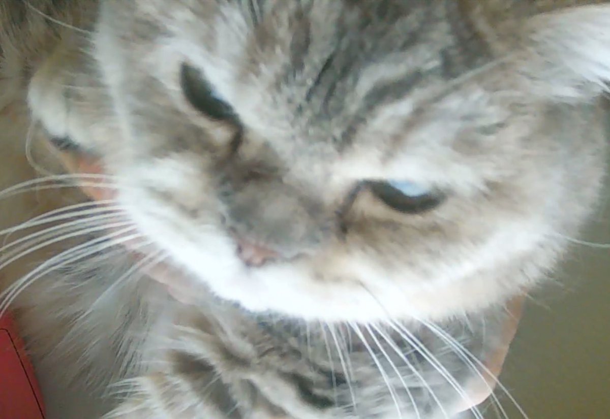 완Zaaa… tweet media