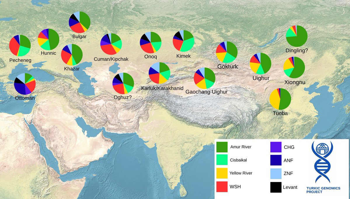 Turkic Genomics Project tweet media