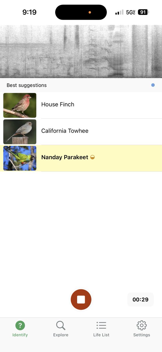 liv eats tweet media