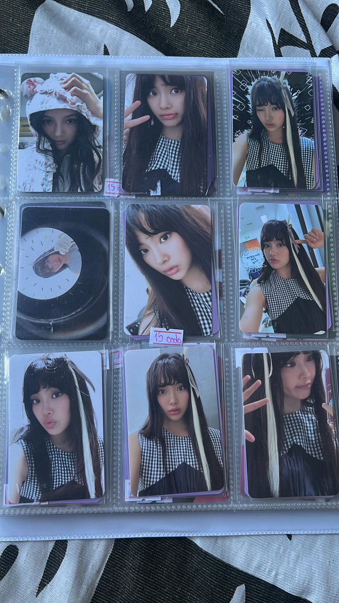 clara 🐥 tweet media