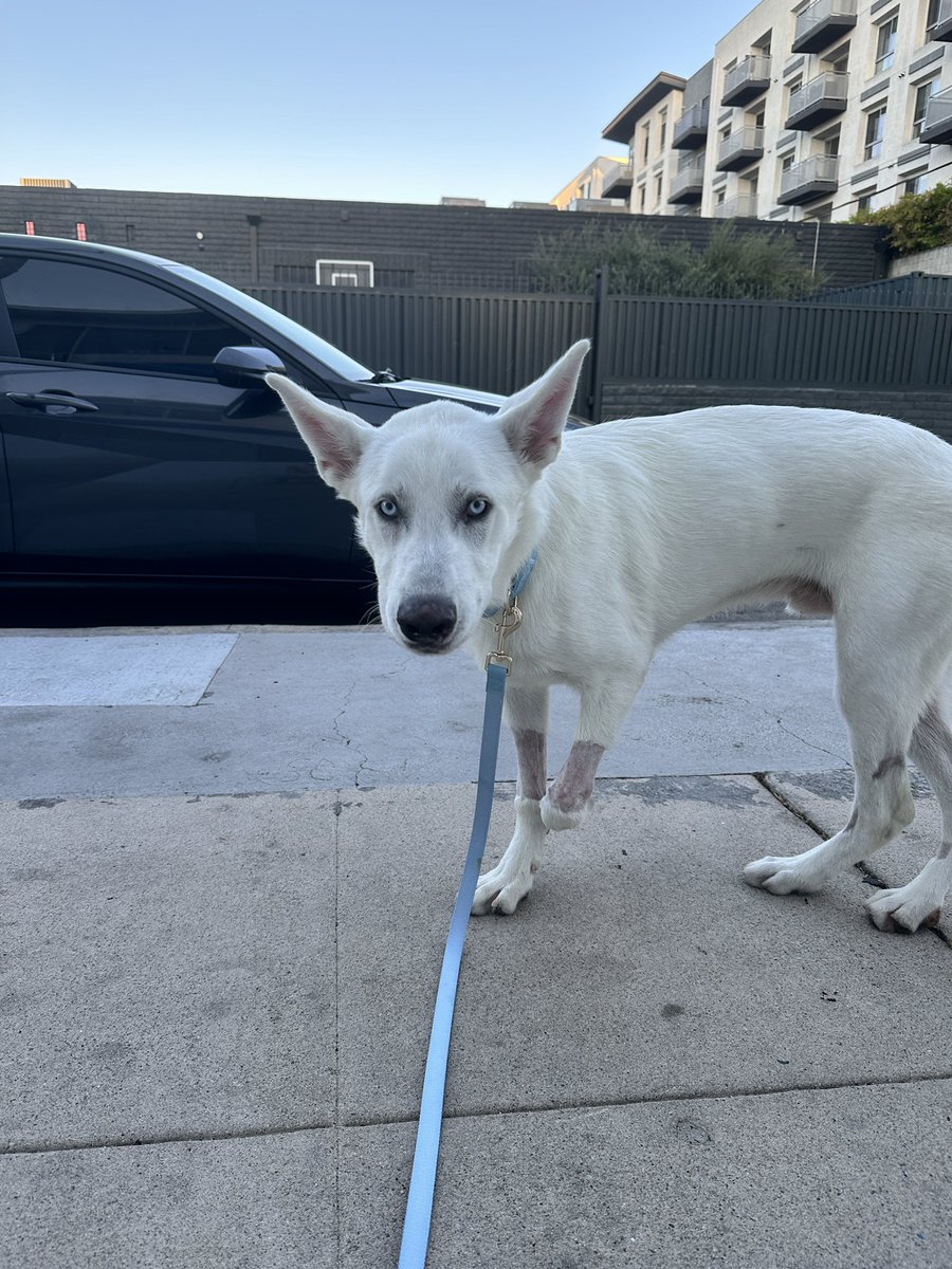 Lana the Bug 🪲💕 tweet media