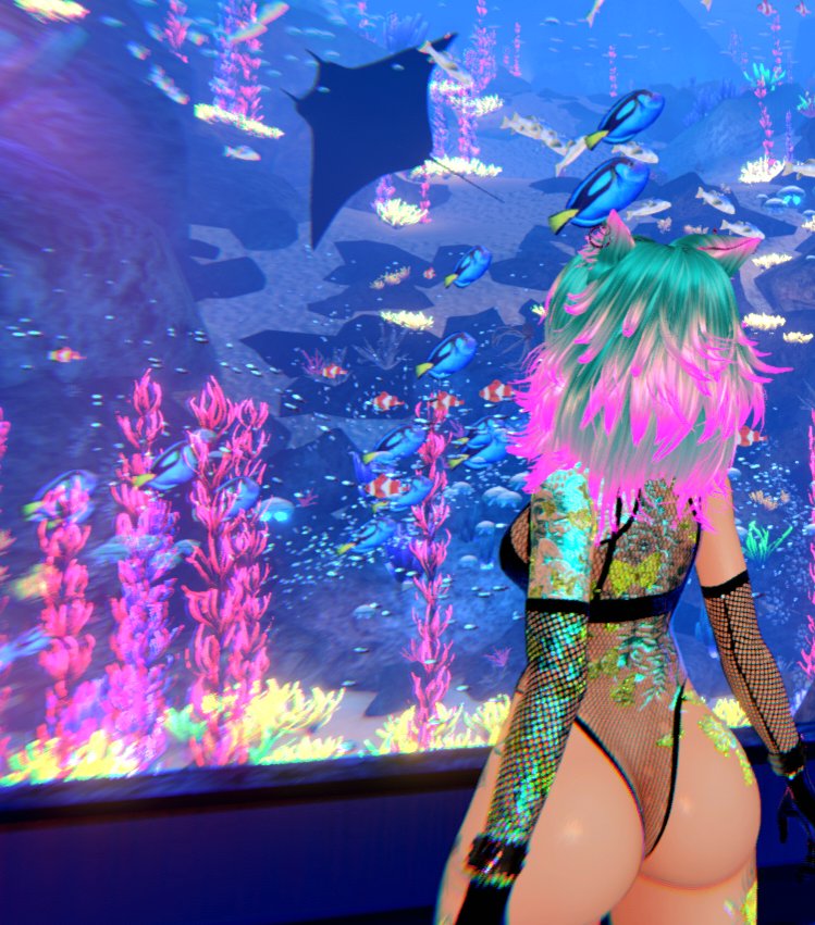 MYC_NETWORK's tweet image. Views look great at siren. 

LAUNCHES THIS WEEK 

#SIREN #VR 
#METAVERSE 

PC/VR/META/MOBILE DEVICE COMPATIBLE