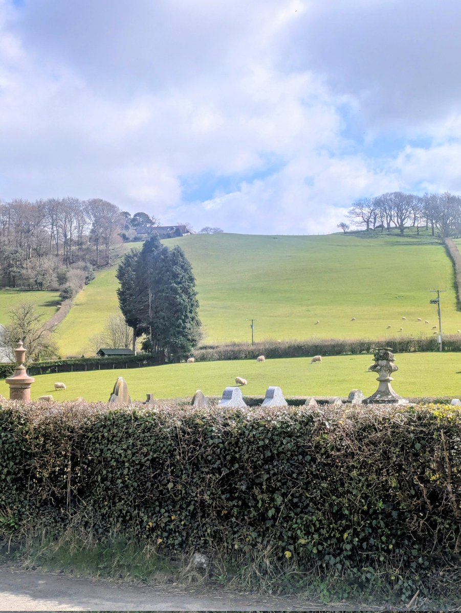 A King without a Crown tweet media