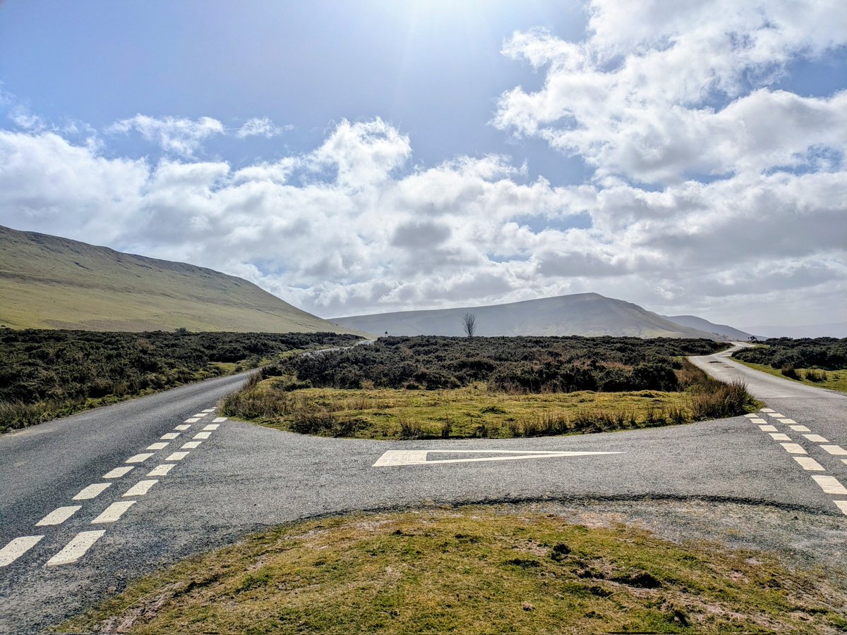 A King without a Crown tweet media