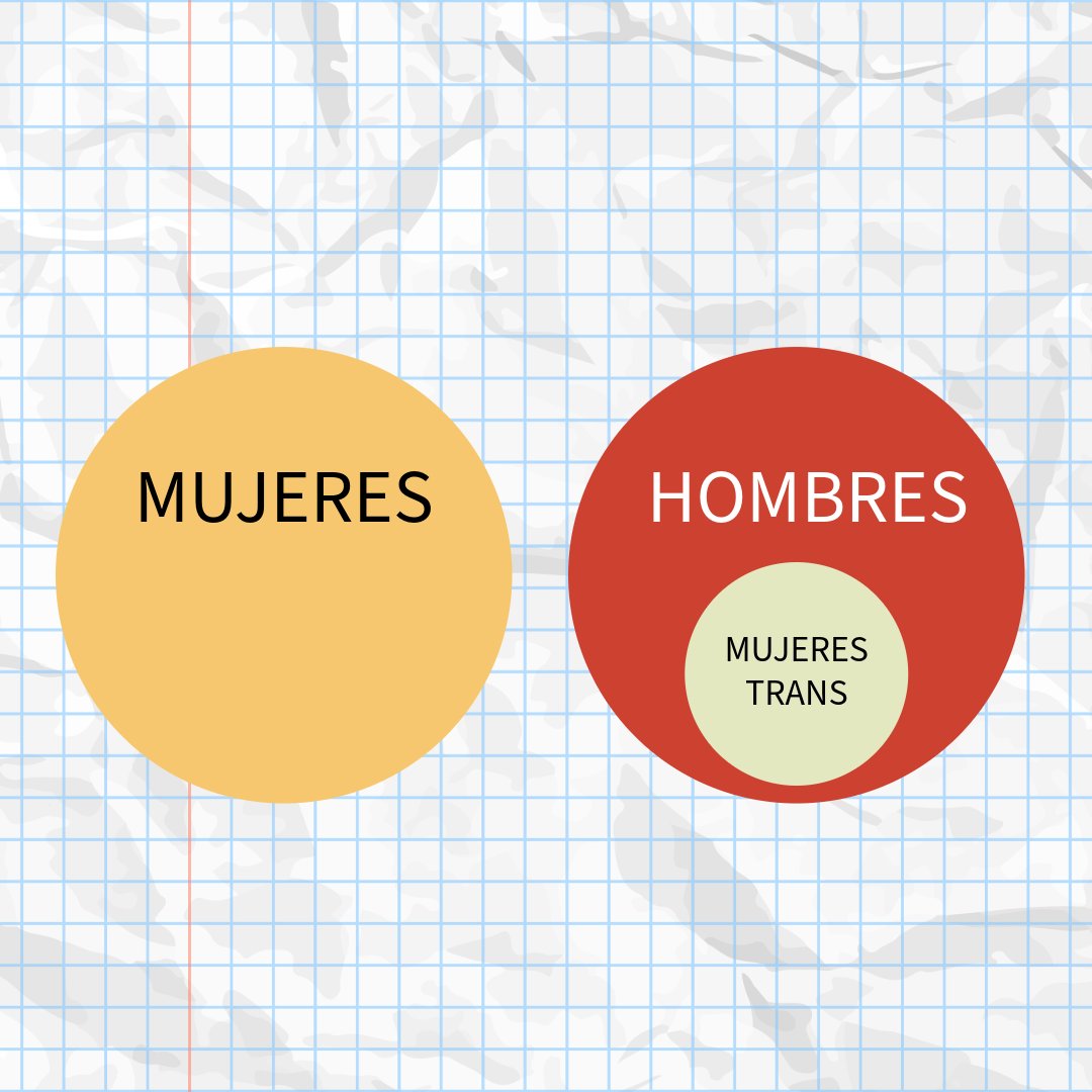 paz latorre tweet media