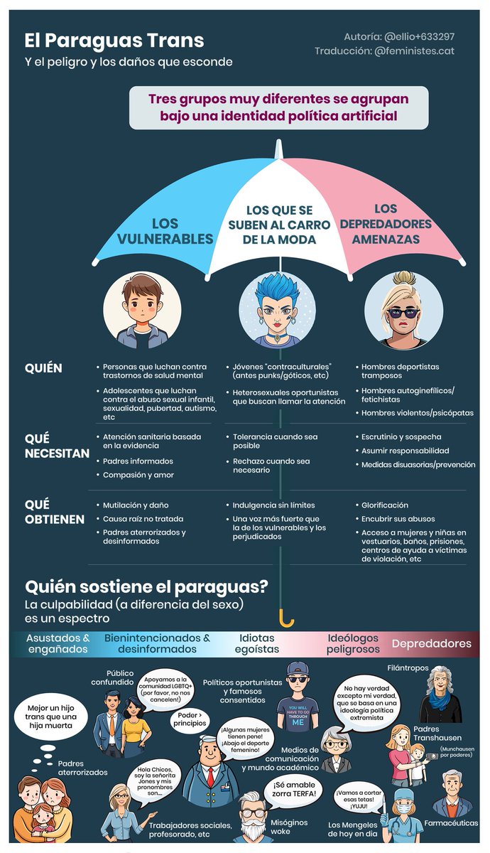 paz latorre tweet media